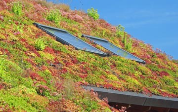 Taobh A Tuath Loch Aineort living roof systems