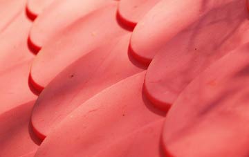 Taobh A Tuath Loch Aineort plastic roof costs