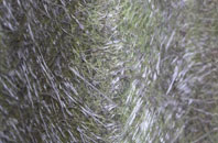 Taobh A Tuath Loch Aineort fibreglass roof work